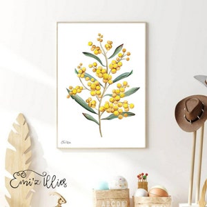 Australian Botanical Art Print Native flowers Wattle Print Australian flora Art Print Australian Native Flower watercolour wattle