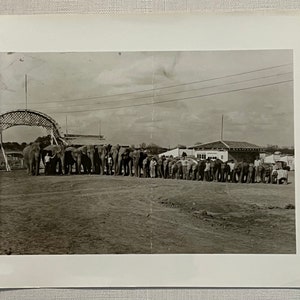 Vintage Original Photo &#39;Elephant Line Up&#39;  Circus Performers Photograph #85-24 GA