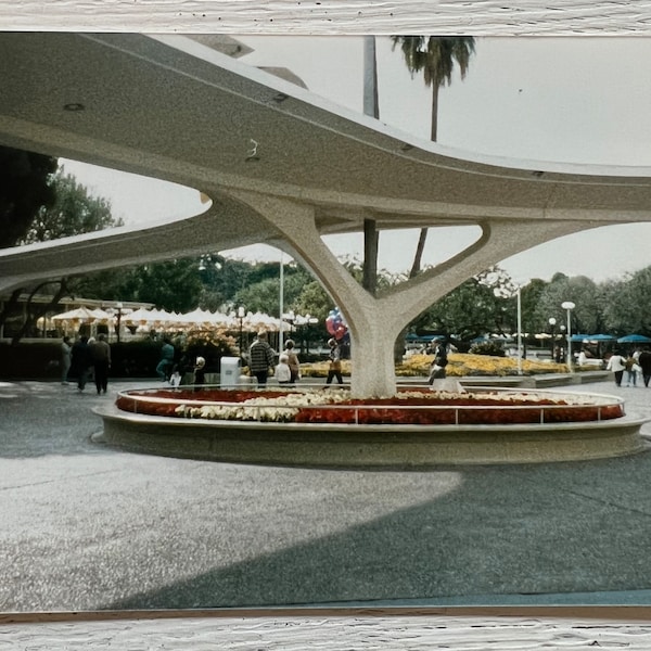 Vintage Original Photo - Gardens and Monorail Platforms - 1980s Photograph Disneyland Anaheim CA #70-3