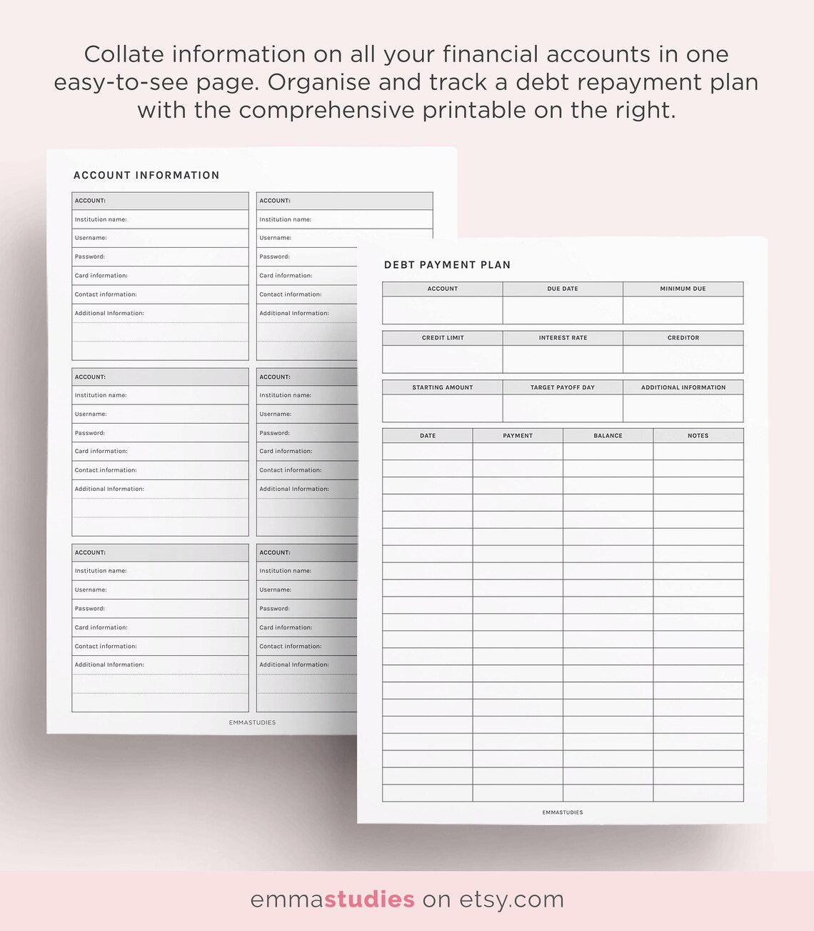 Student Financial Planner Printable Pack College | Etsy
