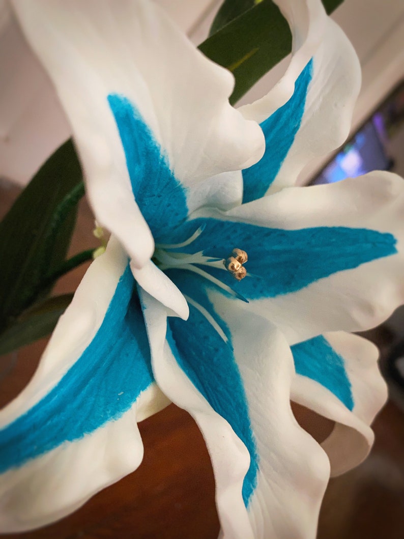 Silent Princess Flower Breath of the Wild BOTW Legend of Etsy