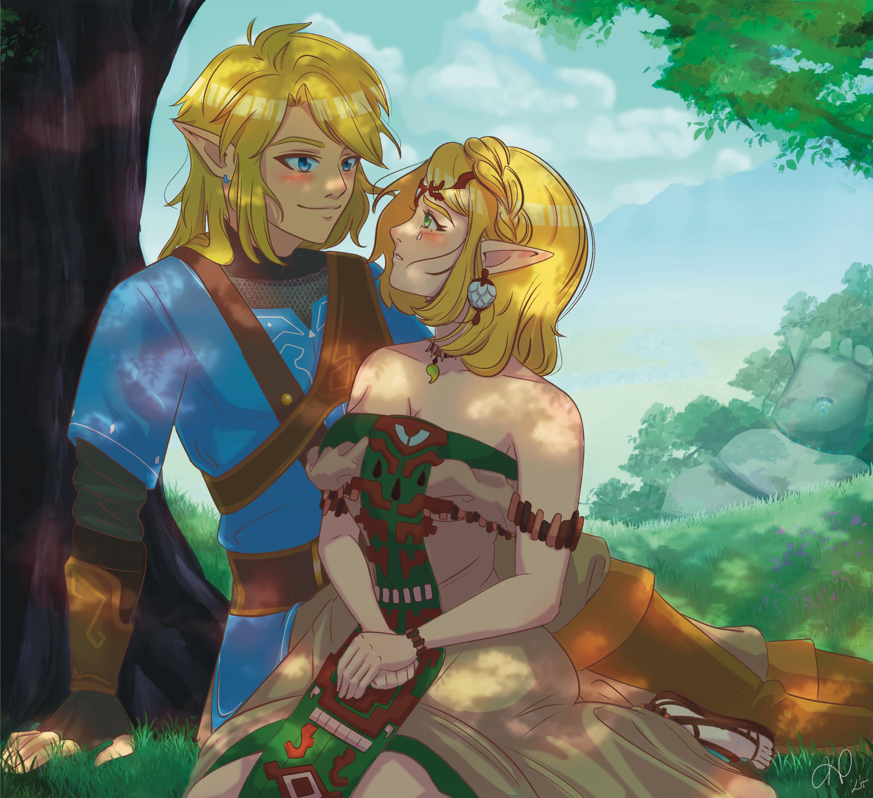 Princess Zelda Link Botw Story Botw Teaser In The BOTW2 Teaser
