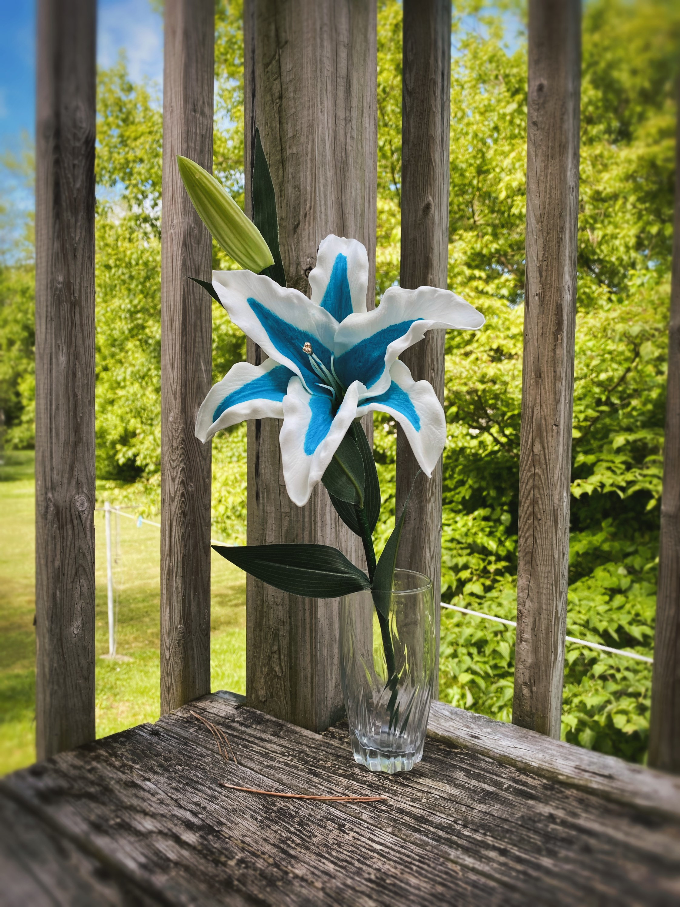 Silent Princess Flower Breath of the Wild BOTW Legend of Etsy