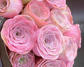 Greenovia Princess Lola, pink succulent, rare succulent,  10 seeds [SEEDS ONLY]