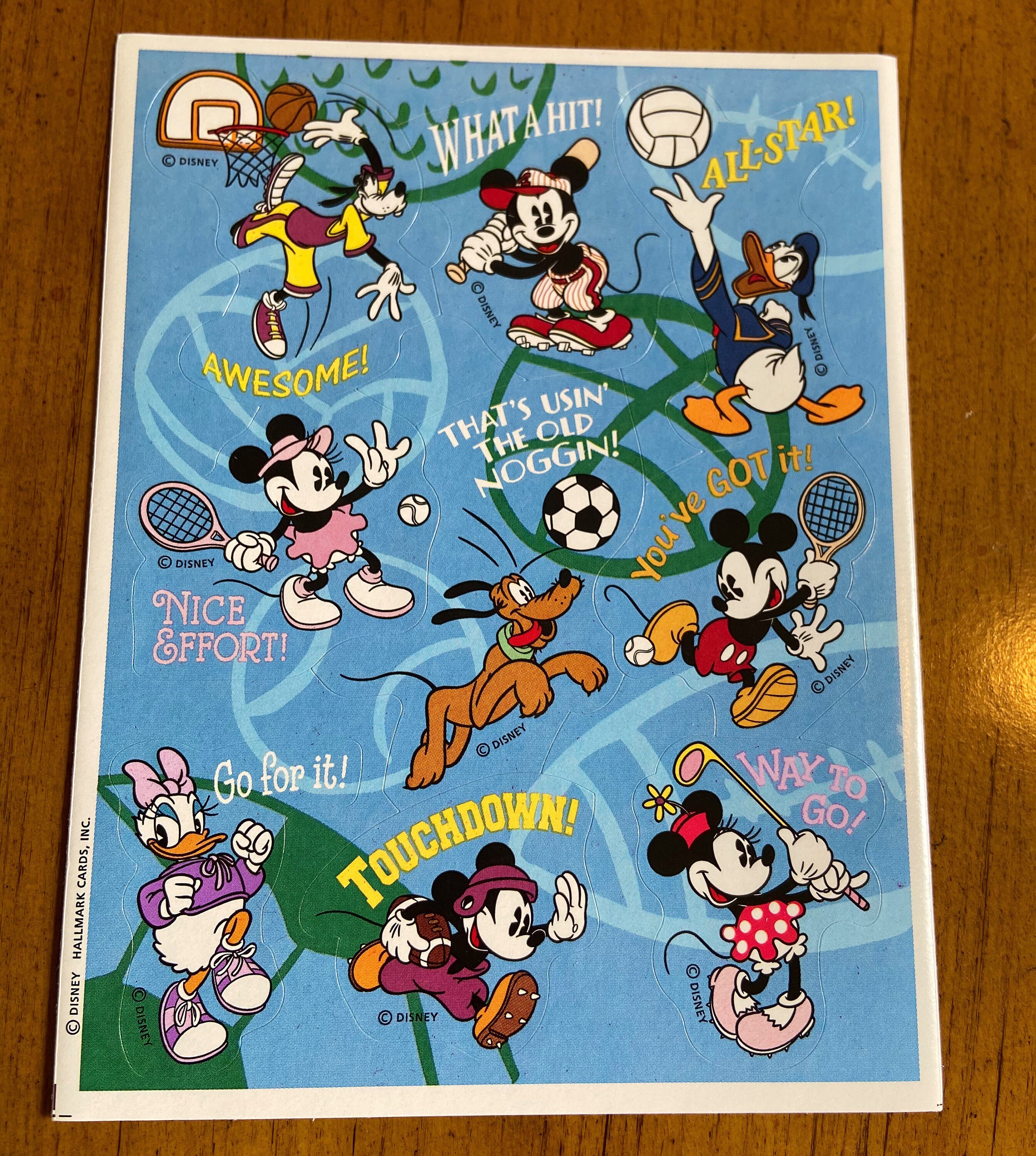 ヴィンテージ レトロ ミッキーマウス ディズニー ミニー