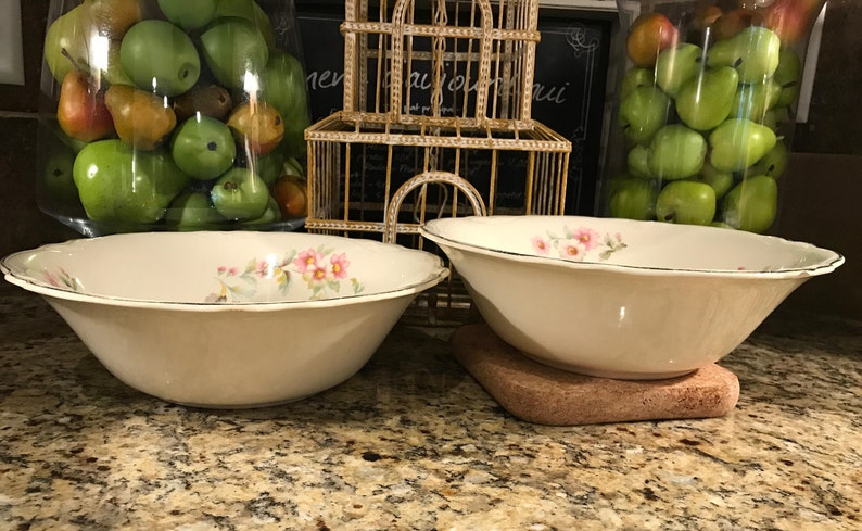 Pair of Vintage Homer Laughlin Virginia Rose Shape Vegetable Bowls Moss Rose Pattern JJ59-1950/'s