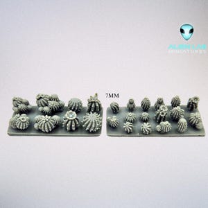 Op de afbeelding: Twee rijen kleine, grijze, plastic cactus miniaturen op een witte achtergrond. De tekst "7MM" is boven de miniaturen gedrukt.