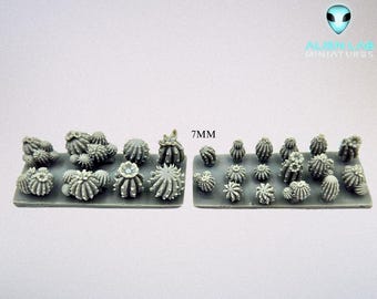 Könnte beinhalten: Zwei Reihen kleiner, grauer, plastischer Kaktus-Miniaturen auf weißem Hintergrund. Der Text "7MM" ist über den Miniaturen gedruckt.
