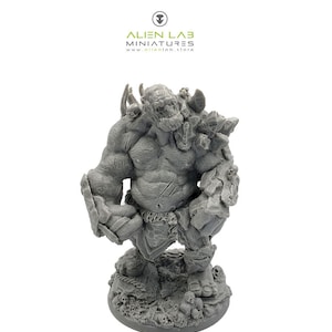 Stone troll, Dungeons and Dragons, DnD, RPG, Miniatures, Tabletop games, Wargaming, Fantasy miniatures, Board games, Role playing games