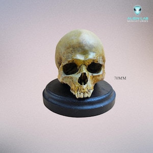 Realistic Vampire Skull Replica – Hand Painted Horror Art Sculpture with Fangs for Gothic Home Decor, Halloween Display, Collectors Gift