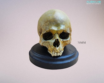 Hand-Painted Vampire Skull Replica: Gothic Horror Art Sculpture