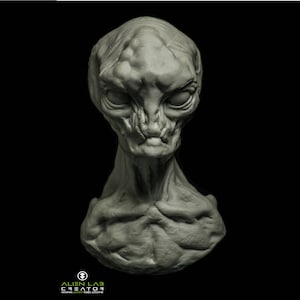 Alien Grey, science fiction, alien,sculpture ,roswell, UFO, x files, creaturedesigner, monster, characterdesign, handmade ,concept ,bust