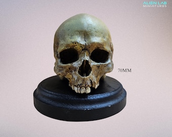 Handgeschilderde replica menselijke schedel: gotische anatomische kunst, halloweendecor