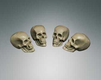 Resin Skull Scatter Terrain: D&D, Wargaming Diorama Bits (Set of 4, 25mm Skulls, Unpainted)
