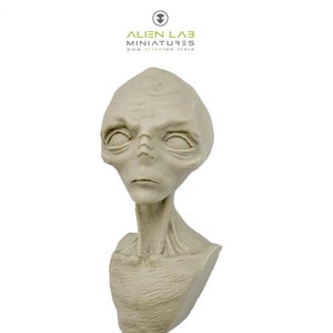 Alien Grey,science fiction,alien,sculpture,roswell,UFO,collectable,x files,creaturedesigner,monster,characterdesign,handmade,concept,bust