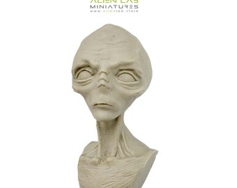 Hand Carved Alien Grey Bust: Science Fiction Collectible (120mm)