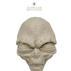 Op de afbeelding: Een gedetailleerde, lichtgrijze alienhoofdsculptuur met gesloten ogen, een prominente wenkbrauw en een gedefinieerde gezichtsstructuur. De sculptuur is van Alien Lab Miniatures.