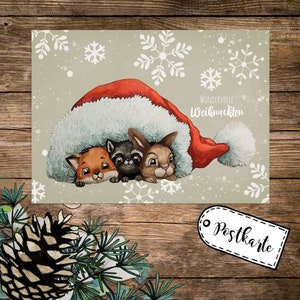 A6 Weihnachtskarte Weihnachtsgrüße Postkarte Print Tiere unter Mütze Grußkarte Wundervolle Weihnachten pk261