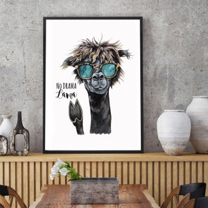 Póster de ilustración impresa A3 o A4 Lama diciendo que no hay drama Lama Lema p217