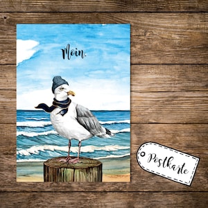 A6 Postkarte Print Vogel Möwe mit Mütze Schal am Meer Spruch Moin Karte Grußkarte pk252