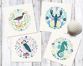 Seaside Card 8 Pack - Set of little Scandi style illustrated cards featuring a Lobster, Oystercatcher Bird, Seahorse & Puffin | Blank inside