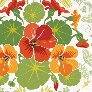 Close up section of the nasturtium flowers showing the detail in my illustration.