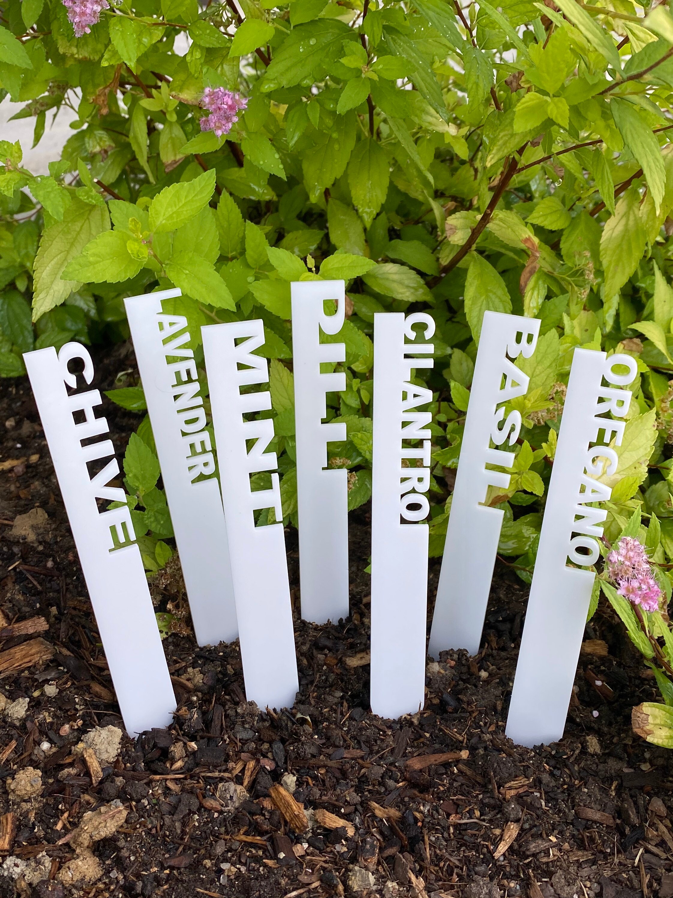 Herb Garden Or Plant Stakes Small Or Large Acrylic Etsy