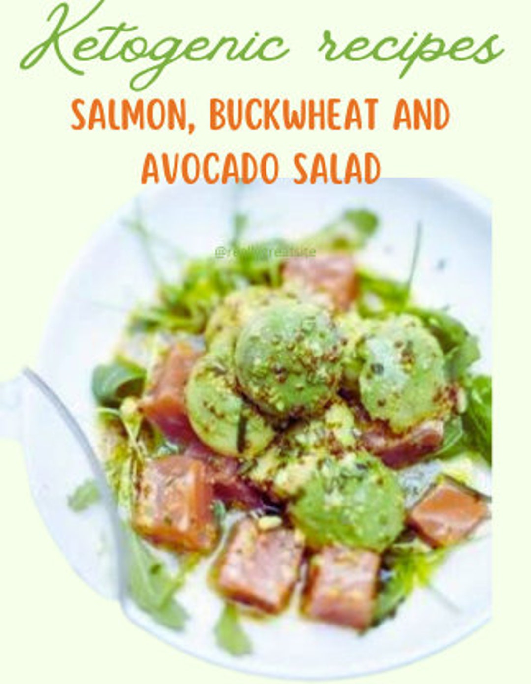 Salmon Buckwheat and Avocado Salad KETOGENIC RECIPES Etsy