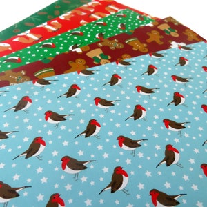 Robins Gift Wrap & Tag,  Recycled Wrapping Paper, matching recycled gift tag , Illustrated giftware
