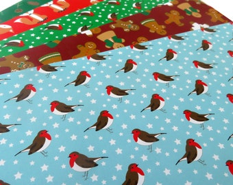 Robins Gift Wrap & Tag,  Recycled Wrapping Paper, matching recycled gift tag , Illustrated giftware