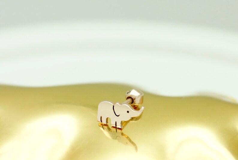 mini elephant 14K solid gold lobe outter conch helix piercing inner conch