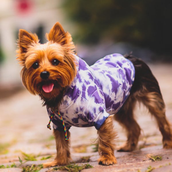 Sudadera con capucha tie-dye para perro. Con ranura para correa. Sudadera personalizada para perro. Para gatos. Regalo para dueños de perros. Regalo para perros. Sudadera cálida para perro. Abrigo para perro.