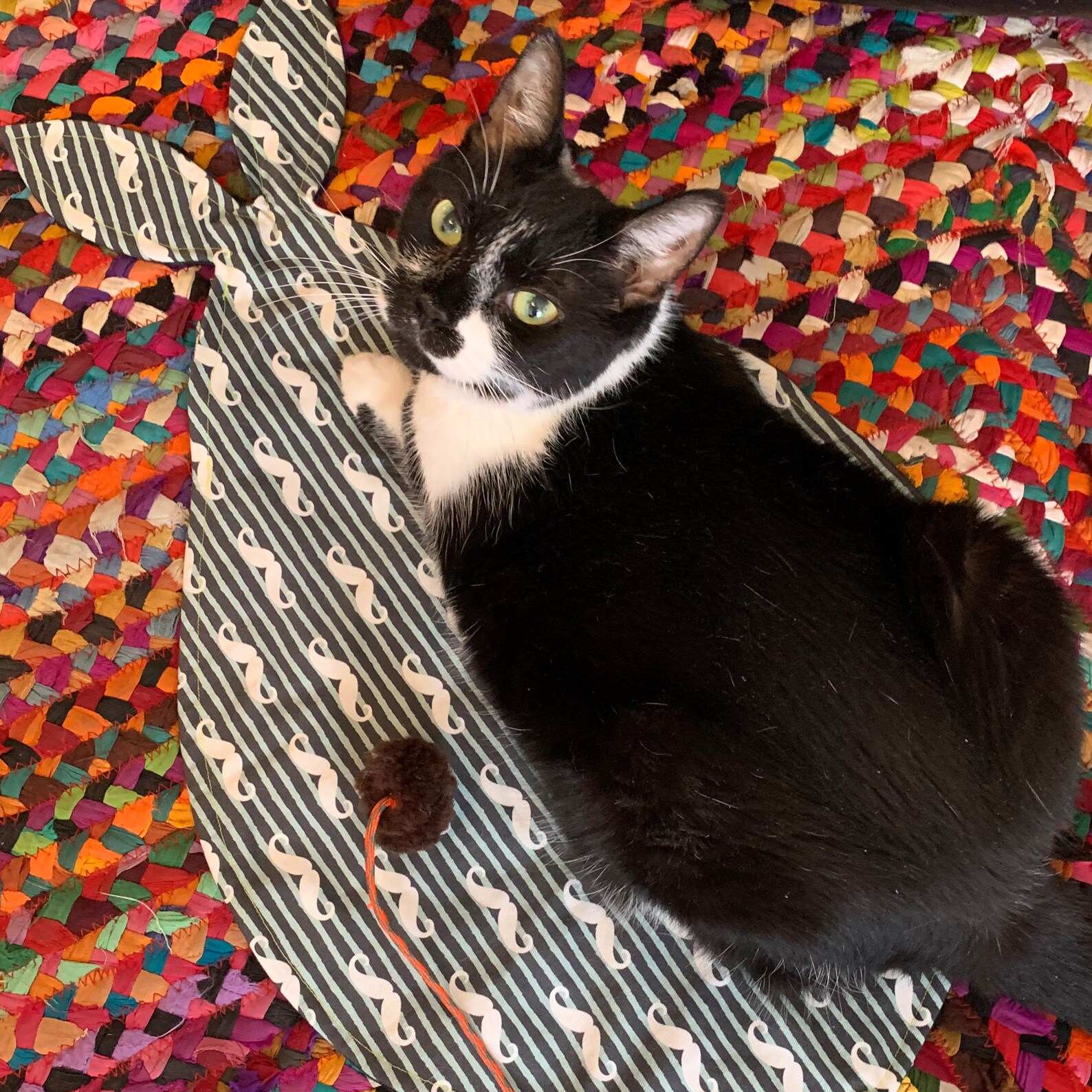 Good Kitty Catnip Play Mat. Reversible Catnip Mat with Pom Etsy