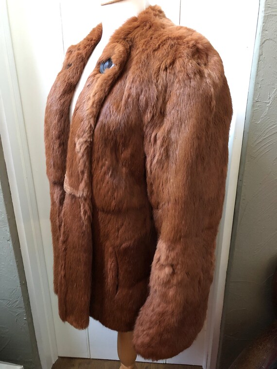 vintage jacket / coney fur jacket / vintage Daphm… - image 3