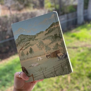 Scenery Bible