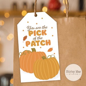 May include: A white gift tag with the text "You are the PICK of the PATCH" and pumpkin illustrations. The tag is attached to a brown paper bag, ideal for autumn gifts.