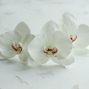 White orchid hair pins, Tropical bridal hair piece, Beach wedding hair clip