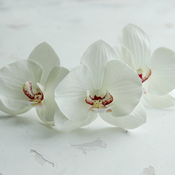 White orchid hair pins, Tropical bridal hair piece, Beach wedding hair clip