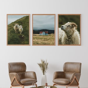 Rustic Farm Triptych - Iceland Print - Travel Photography Wall Art - Icelandic photography posters