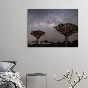 Melkweg over drakenbloedbomen | Socotra-fotografieafdruk |  Fotografie in Jemen