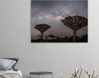 Milky way over dragon blood trees | Socotra photography print |  Yemen Photography