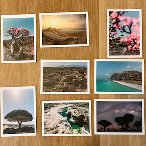 Lot de 8 cartes postales Socotra | Cartes postales du Yémen - Photographie souvenir de Socotra | Arbre sang-de-dragon