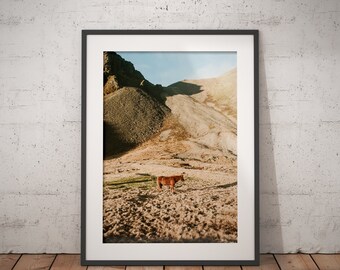 Icelandic Horse printable | Iceland Art Print | Digital Download | modern printable