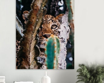 Leopard Portrait | Uganda, African Wildlife  | Travel wall art | Queen Elizabeth National Park