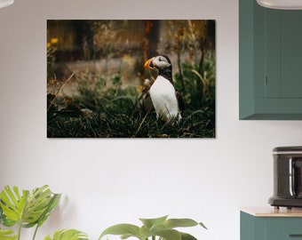 Atlantic Puffin Portrait | Lundi |  Iceland Photography print | Travel wall art | Wildlife wall art