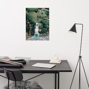 Blue Footed Booby Wall art print | Galapagos Islands Posters | Blue footed boobie | Opuntia