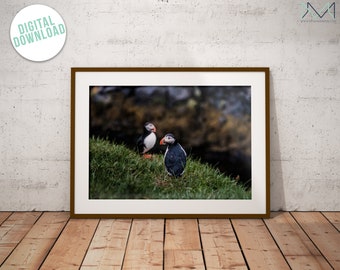 Puffins in Rain |  Iceland Art Print | Digital Download | modern printable home decor from Iceland