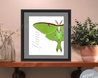 Luna Moth Luna Art Insect Art for Nursery Bug Art Moths Science Classroom Art Instant Download Art Entomologist Gift Symbol of New Beginning