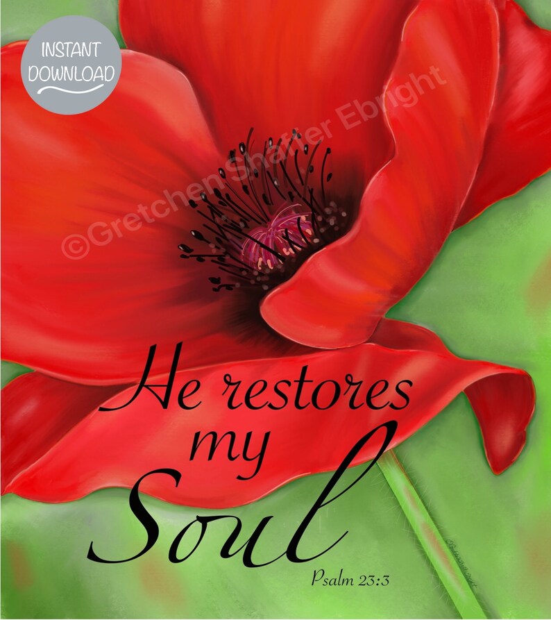 May include: A red poppy flower with a green background. The text "He restores my Soul" is written in black cursive script with the Bible verse "Psalm 23:3" below it.