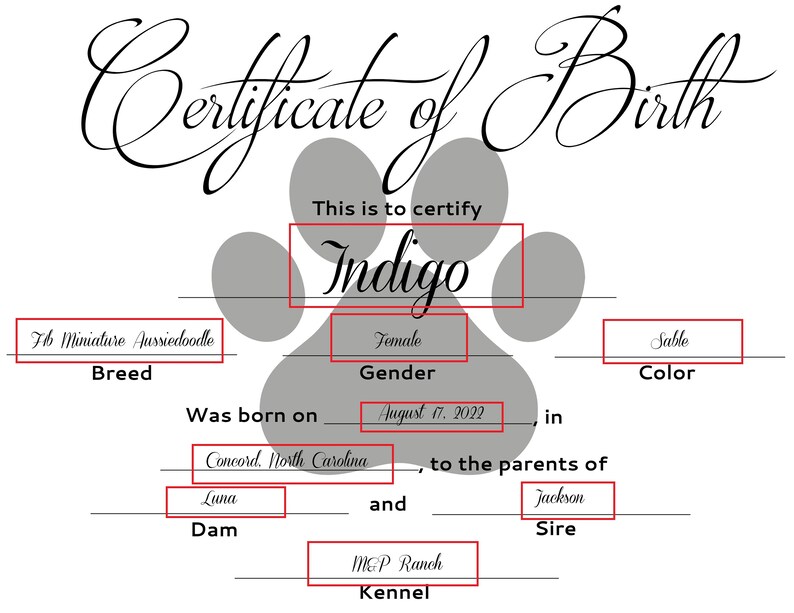 Paw Puppy Birth Certificate, Instant Digital Download, Editable ...